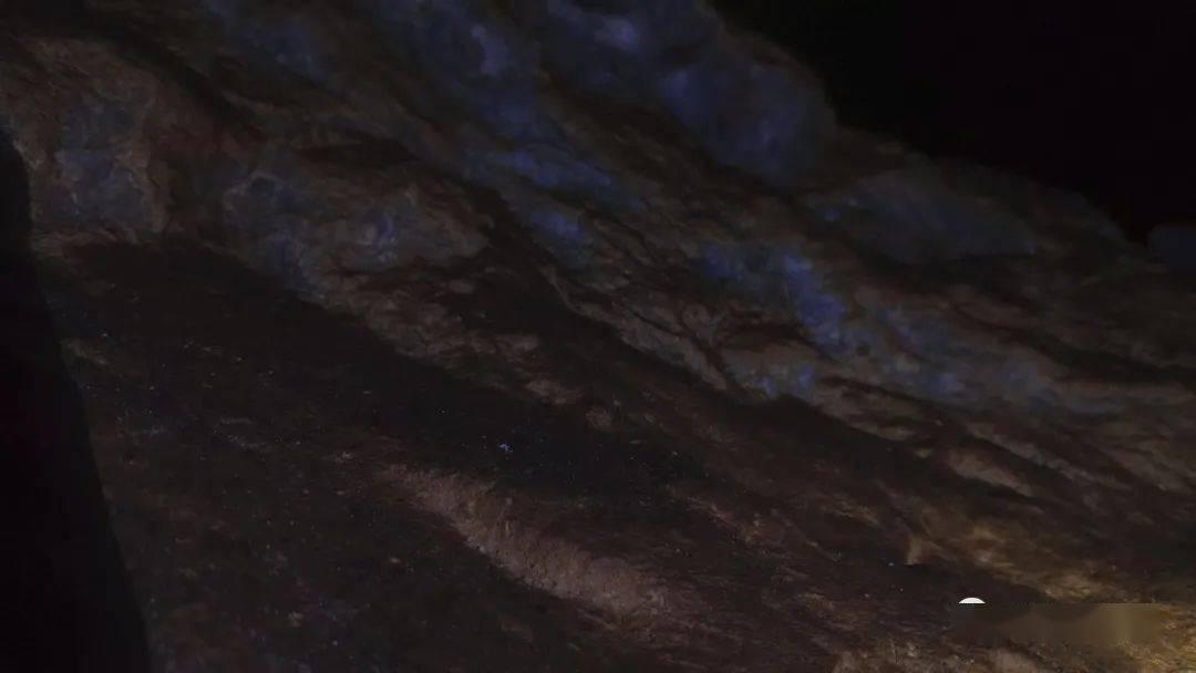 逃离公司办公室